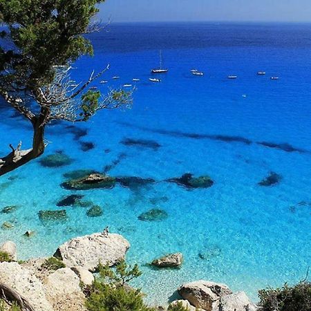 Sardinia Suite Apartment ドルガーリ エクステリア 写真