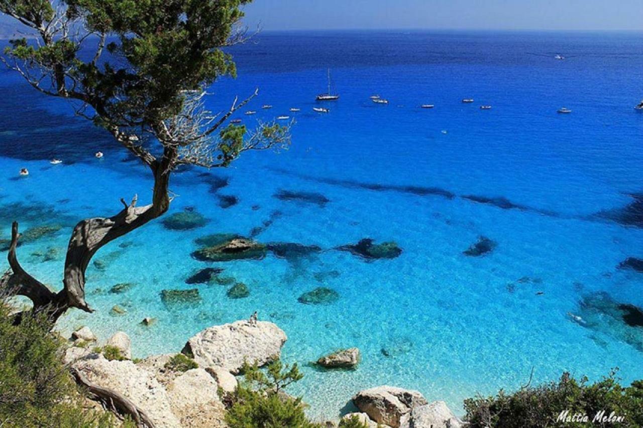 Sardinia Suite Apartment ドルガーリ エクステリア 写真