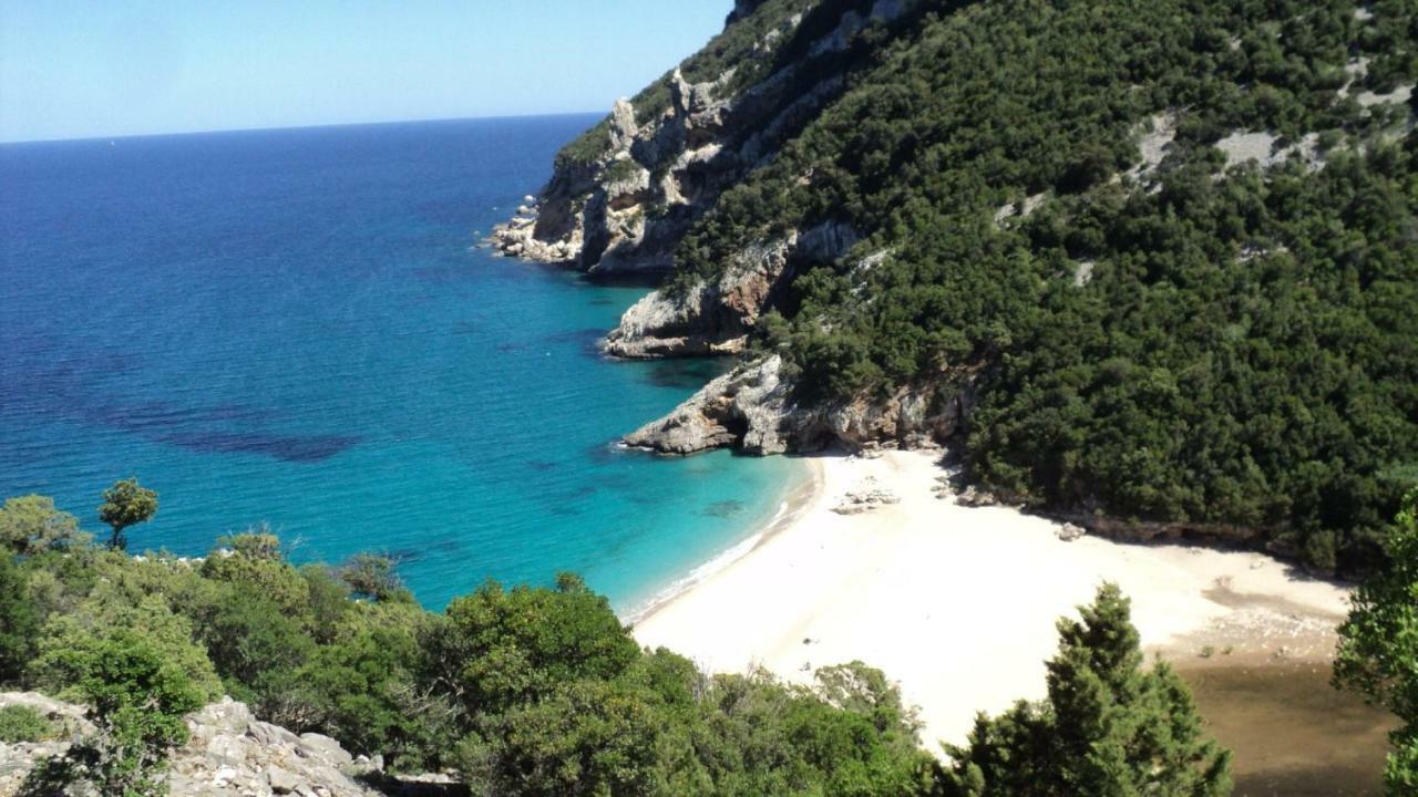 Sardinia Suite Apartment ドルガーリ エクステリア 写真